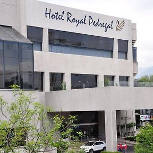 Royal Pedregal